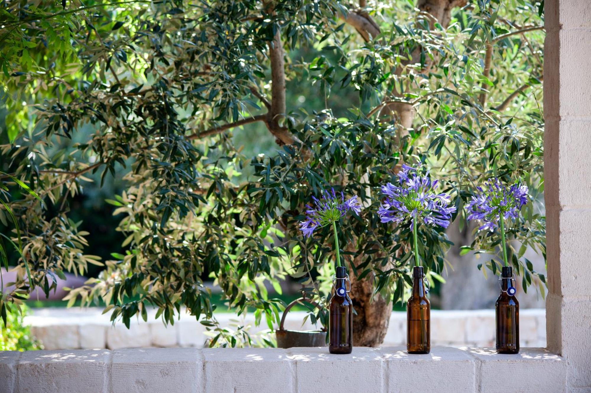 Casa Mia In Puglia Pensionat Conversano Exteriör bild